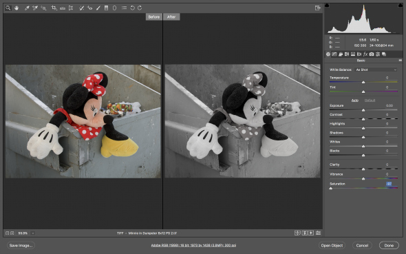 showing desaturation side by side in camera raw 